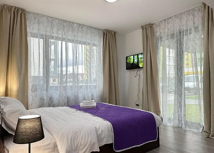 公寓 Luxury Near Coresi Mall By Glam 布拉索夫