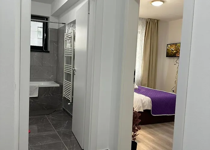 公寓 Luxury Near Coresi Mall By Glam 布拉索夫