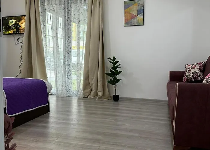 公寓 Luxury Near Coresi Mall By Glam 布拉索夫